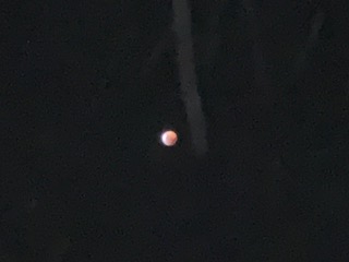 Full lunar eclipse turns red in the night sky over New Sewickley Township  on Jan. 22.