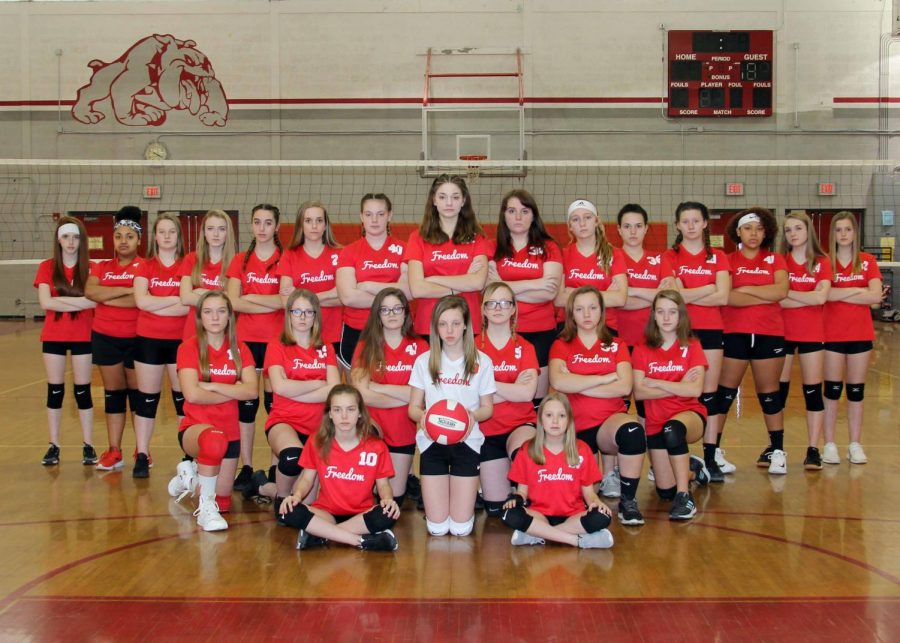 Girls volleyball team welcomes new coach