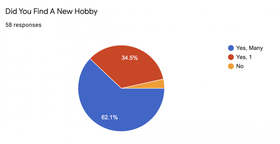 Pie chart shows the percentage of people who picked up new hobbies