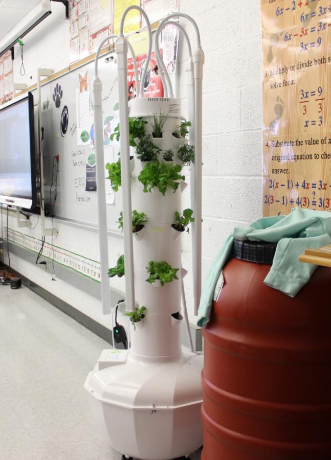 This is the new Tower Garden in Ms. Ging’s room E110.