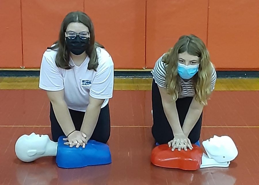 Sixth graders perform CPR on CPR dummies