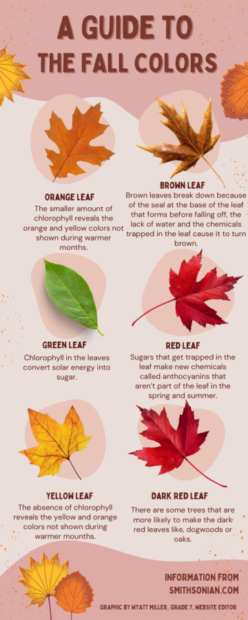 A Guide to the Fall Colors