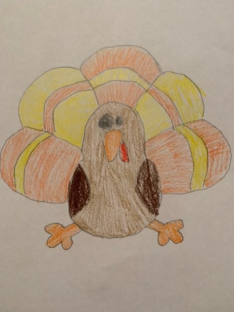 Turkey drawn by Abigail Tedesco to represent a turkey related to the population dropping
