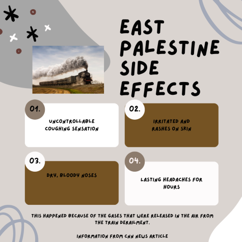The side effects of East Palestine.
