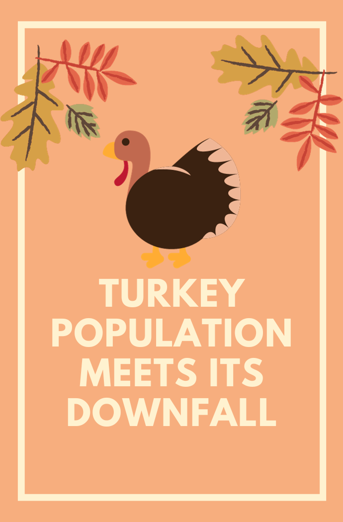 Turkeys in Trouble