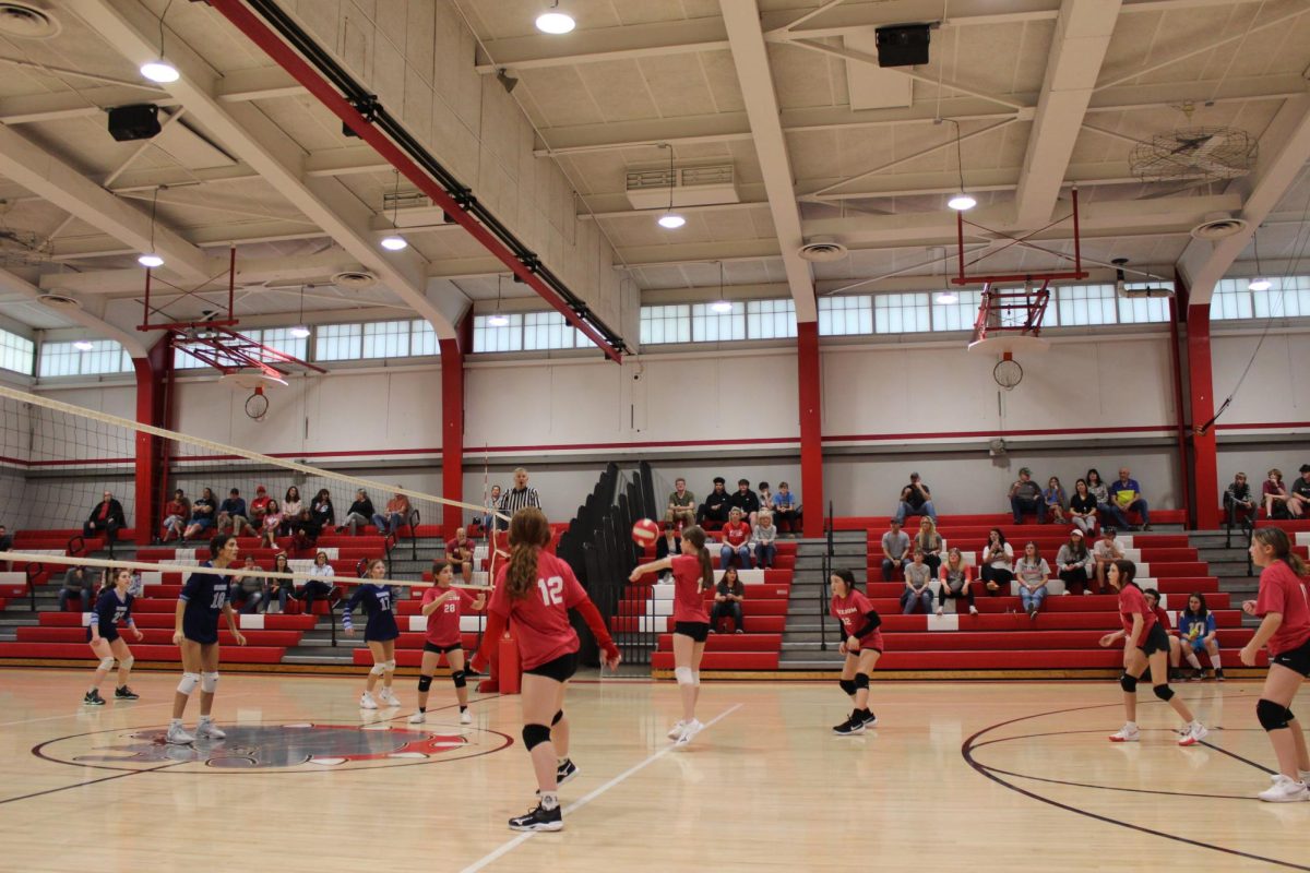 Hannah Metzger bumping the ball for Madison Dalesandro to set it.