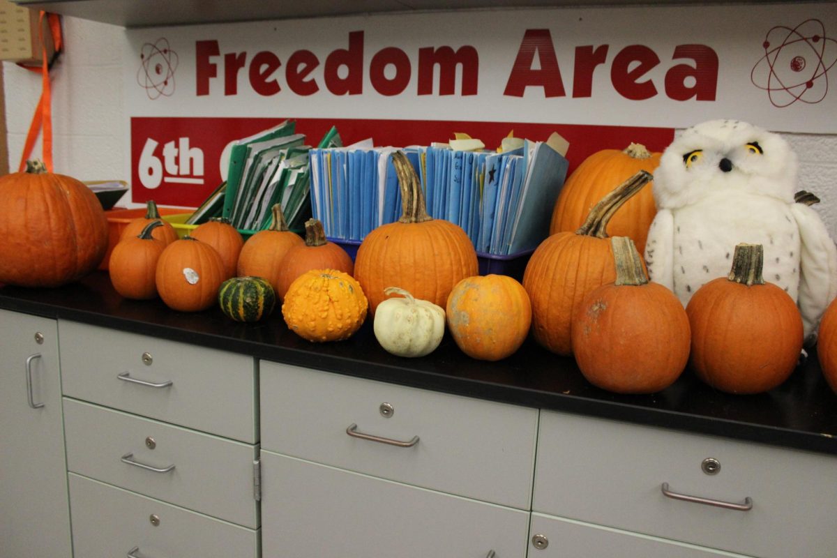 Pile of pumpkins in Ms. Ging’s room for Fall Fest.