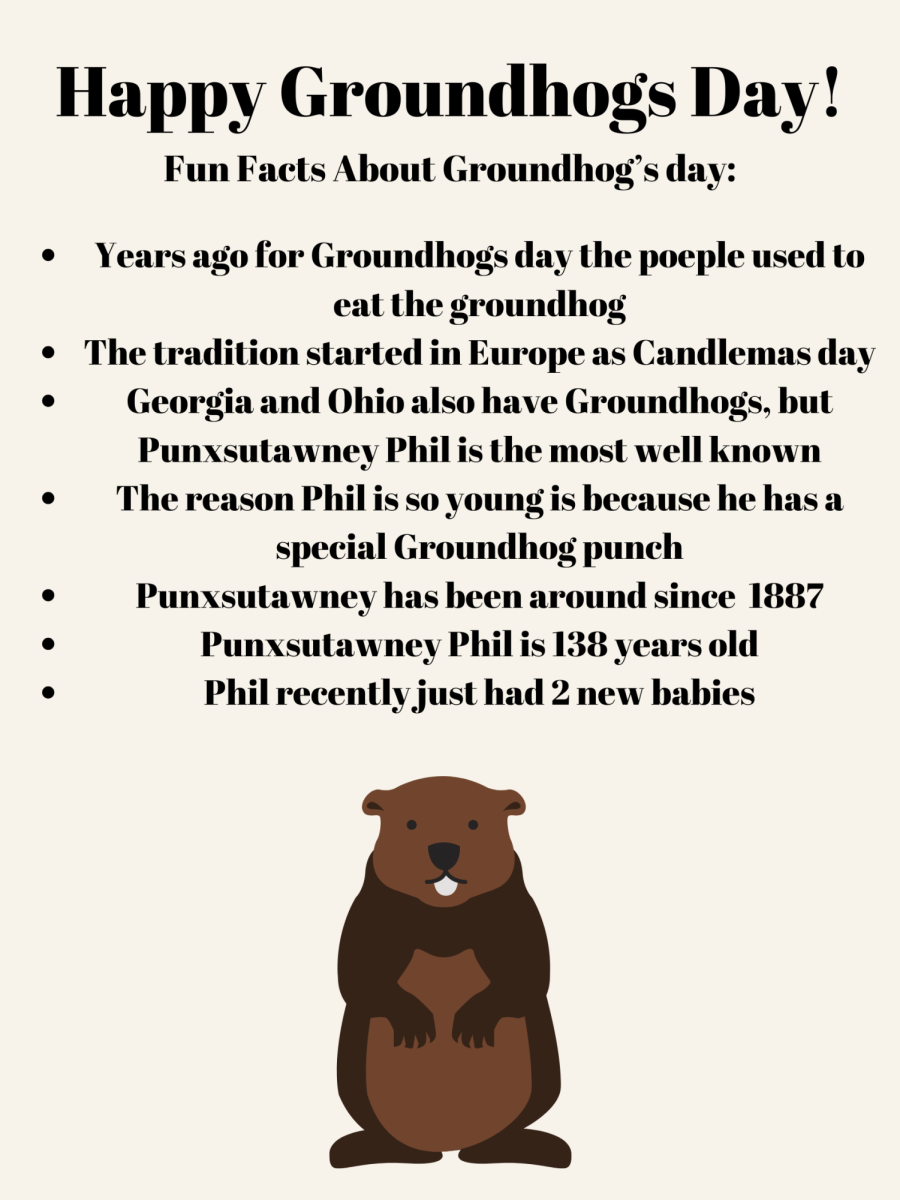 Happy Groundhogs Day!