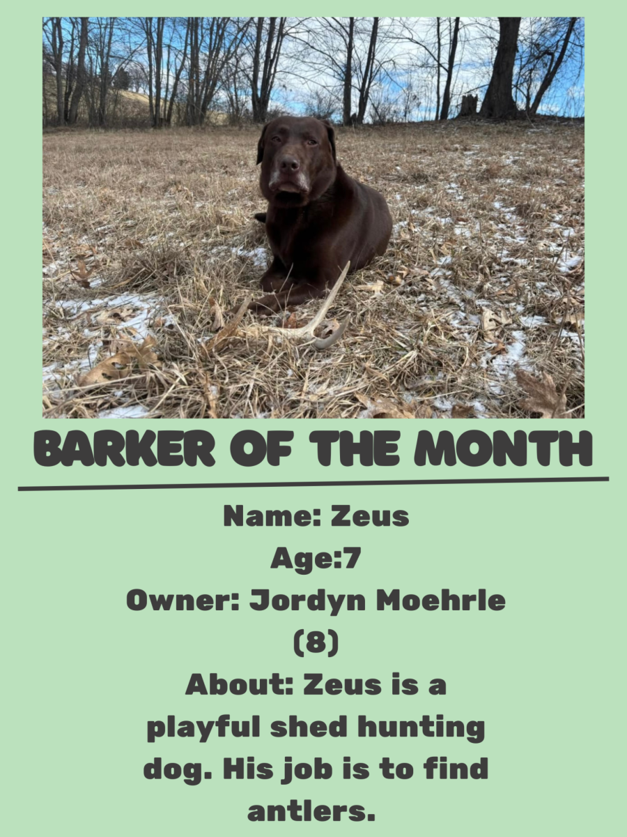 Barker of the Month