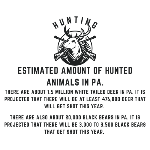 Hunting Canva