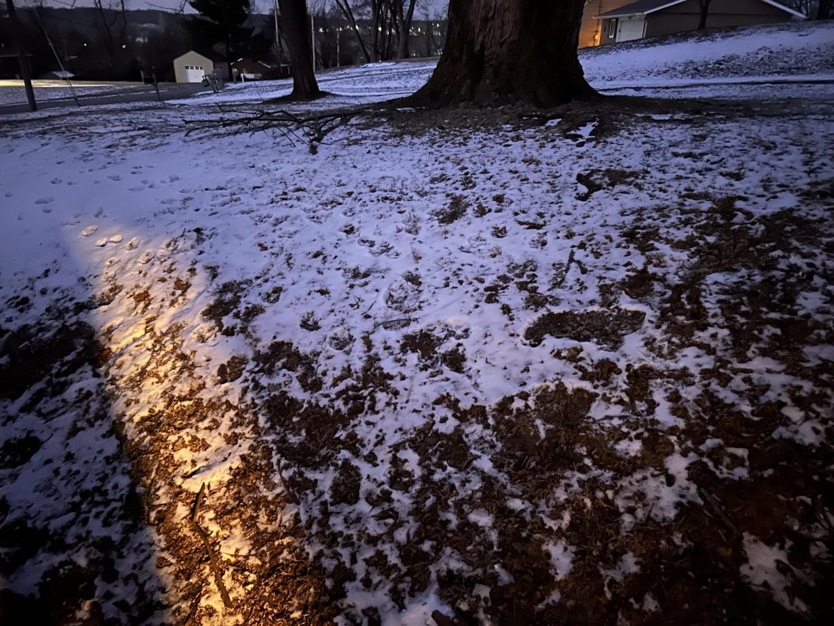 Snow covers the ground in front of Hunter Munday’s (8) home.