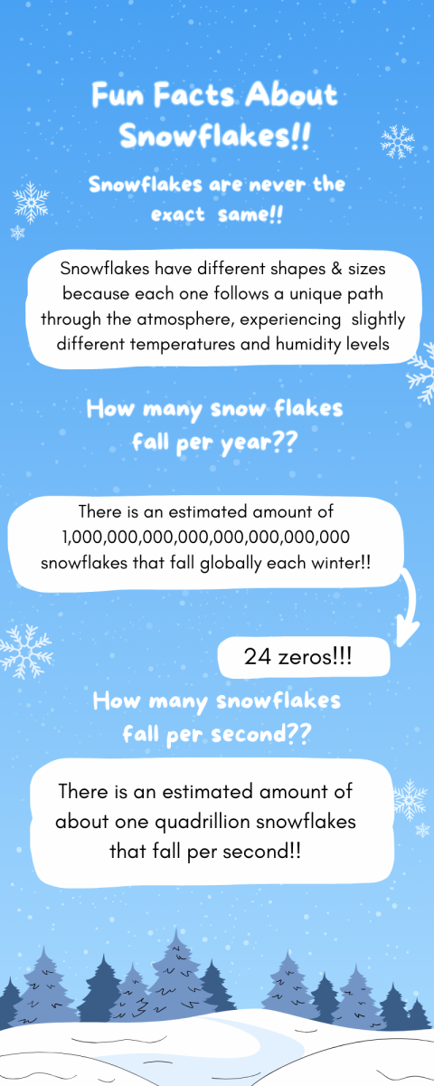 Fun Facts About Snowflakes!