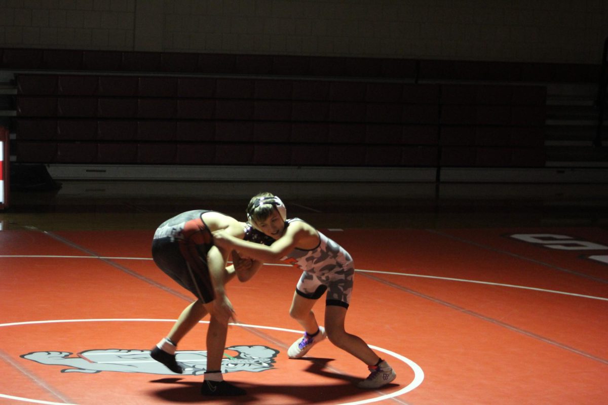 Nolan Andrews takes action in a wrestling match against an Ambridge student at Freedom Area High School on January 7.