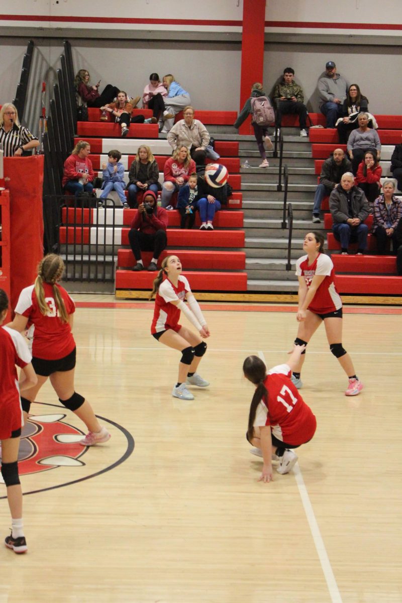 Gianna Castronovo (7) hits the volleyball in the air at a home game.