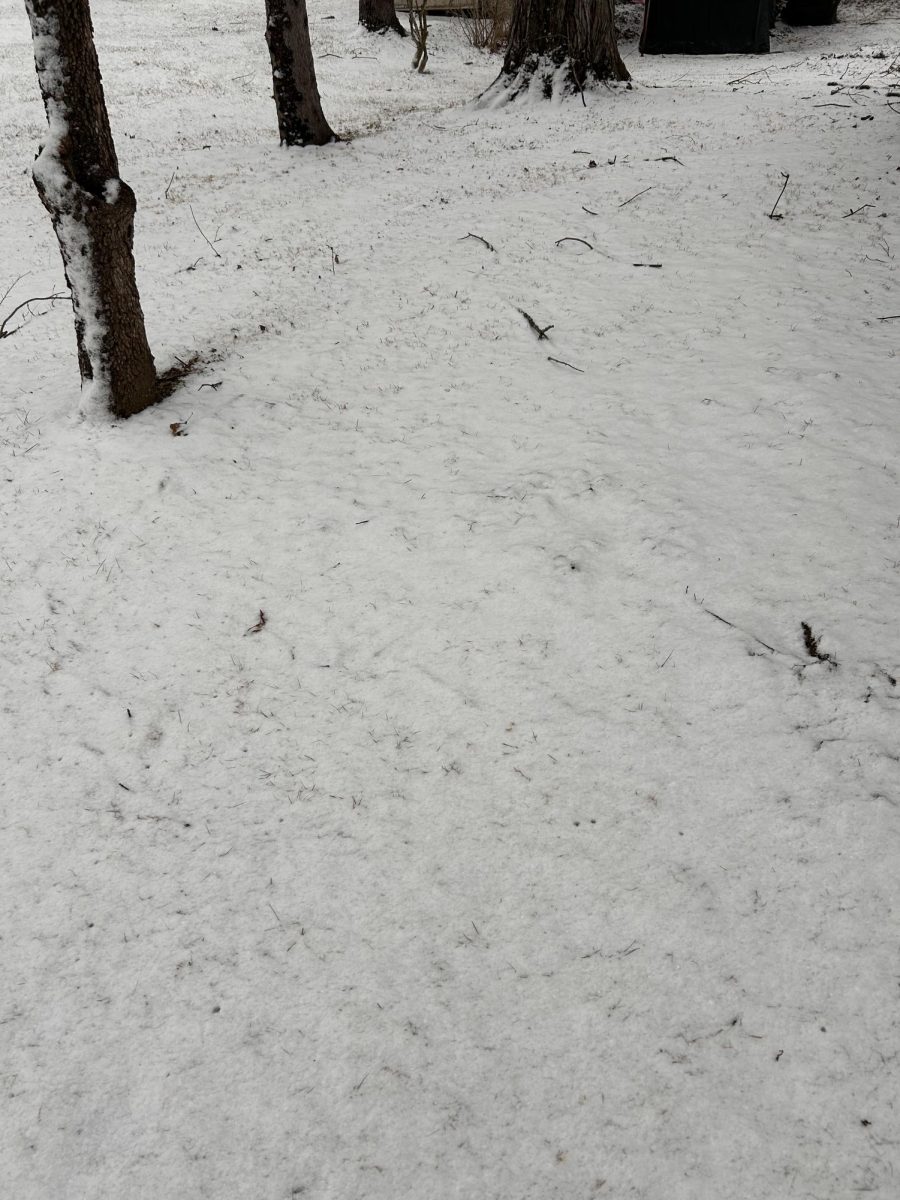 Snow coats the ground in a local Freedom neighborhood.