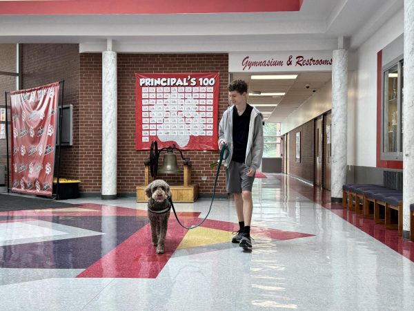 Otto Weir (8) walks Ariel through the lobby on their way to class on April 27.