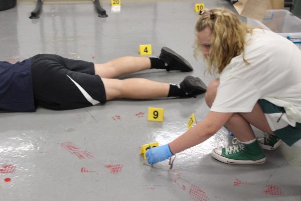 Ramona Grecco (6) picks up a strand of hair at the C.S.I. crime scene.